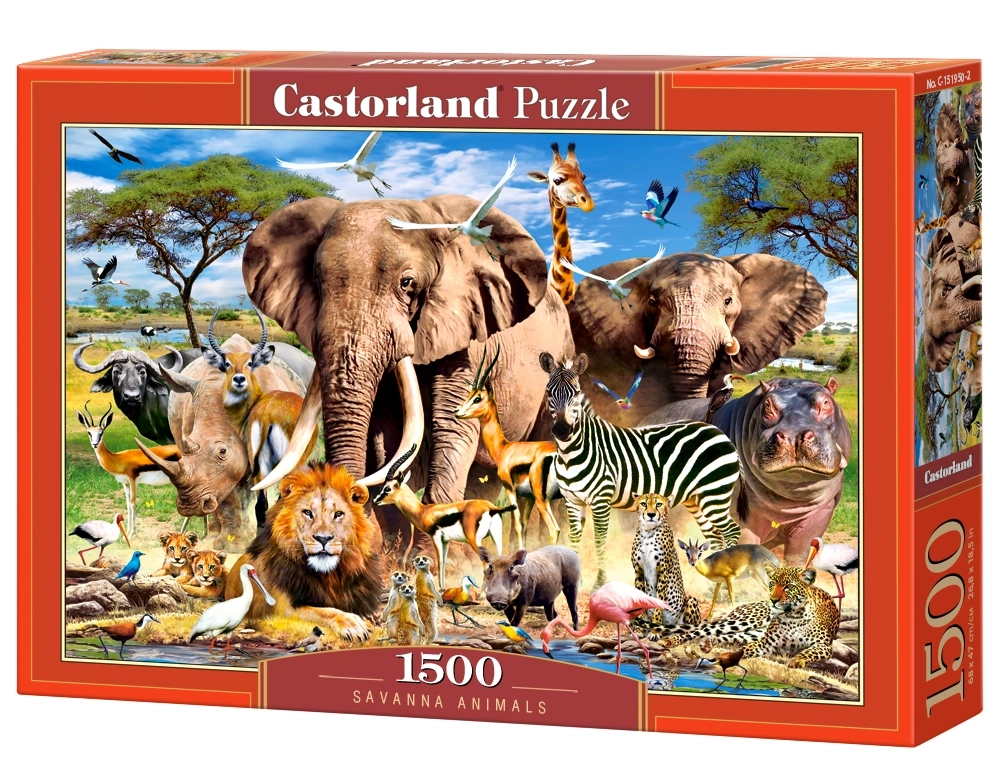 Savanna Animals